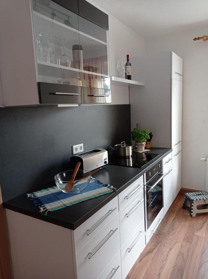Ferienwohnung Greifenbach, Gartennutzung, Haustiere Willkommen Geyer Eksteriør billede