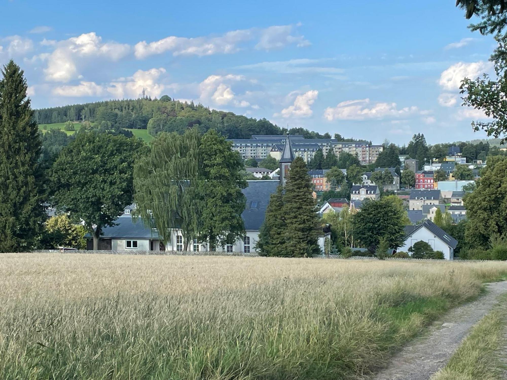 Ferienwohnung Greifenbach, Gartennutzung, Haustiere Willkommen Geyer Eksteriør billede